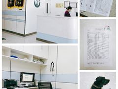 -中农国际动物医院24小时·猫科·骨科·急重症中心