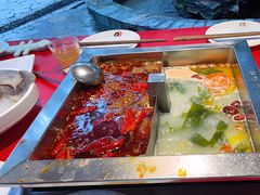 -二荆条·蜀鲜汇城市森林火锅