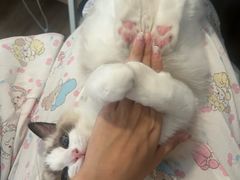 -联合动物医院(光谷诊疗中心)