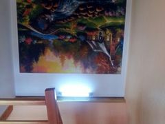 android_upload_pic-金山农民画村-枫泾波兰倒置屋