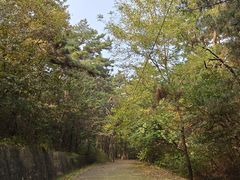 -金龙寺国家森林公园