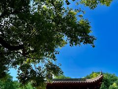 -杭州半山国家森林公园