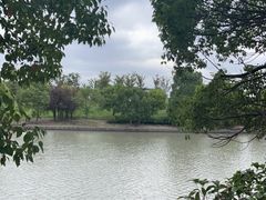 -广富林郊野公园