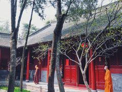 -洛阳白马寺
