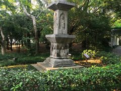 -汇龙潭