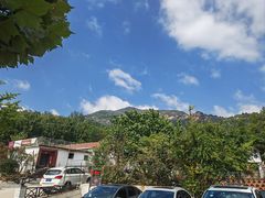 -鲁菜根·泰山菜(泰山店)