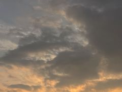 -龙坞茶村