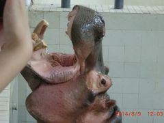 android_upload_pic-哈尔滨北方森林动物园