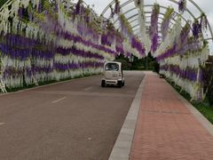 -云漫湖生态度假公园