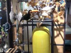 -范设计花园餐酒咖·中西餐·咖啡厅·酒馆