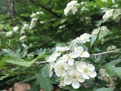 -黑龙潭风景区