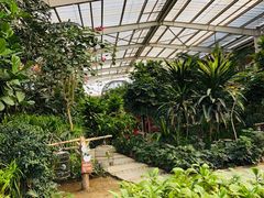 -南宫五洲植物乐园