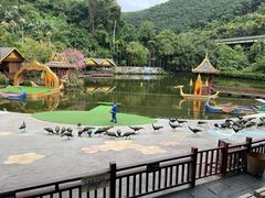 -西双版纳原始森林公园