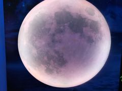 -天津梵高星空艺术馆(天河城旗舰店)