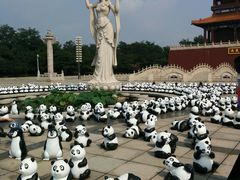 android_upload_pic-南戴河国际娱乐中心