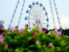 -广东花都香草世界旅游度假区