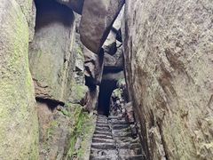 -鲁山国家森林公园