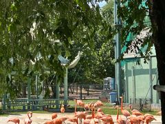 -秦皇岛野生动物园