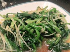 -大锅强·蒸海鲜青岛菜(吾悦广场店)