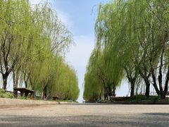 -湖鲜楼