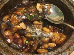 -海派美食·家宴海鲜青岛菜·石锅鲽鱼头(东方城店)