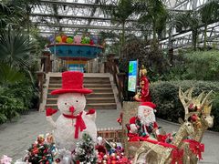 -南宫五洲植物乐园