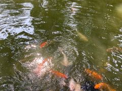 -珠海圆明新园