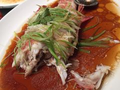 -陶陶居海鲜酒家(新马路店)