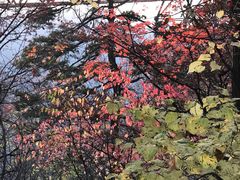 -少华山国家森林公园