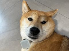 -NOTBAD 须时·咖啡馆