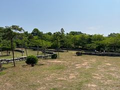 -聚龙山公园
