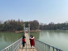 -东湖落雁景区
