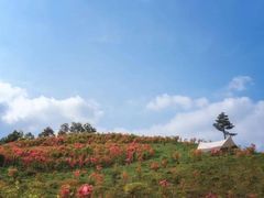 -天台山景区