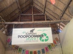 -大象粑粑造纸公园