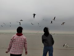 -老虎石海上公园