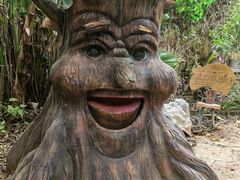 -呀路古热带植物园