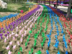 -武清南湖绿博园