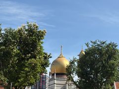 -白蘭閣街蝦麵