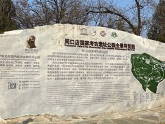 -周口店北京人遗址公园