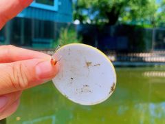 -酷鱼垂钓CLUB(朝阳区博大路店 )