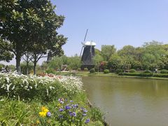 -上海鲜花港