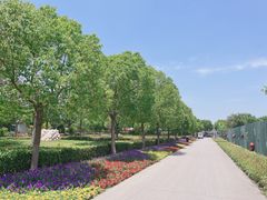 -菊园百果园