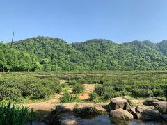 -中国茶叶博物馆(双峰馆区)