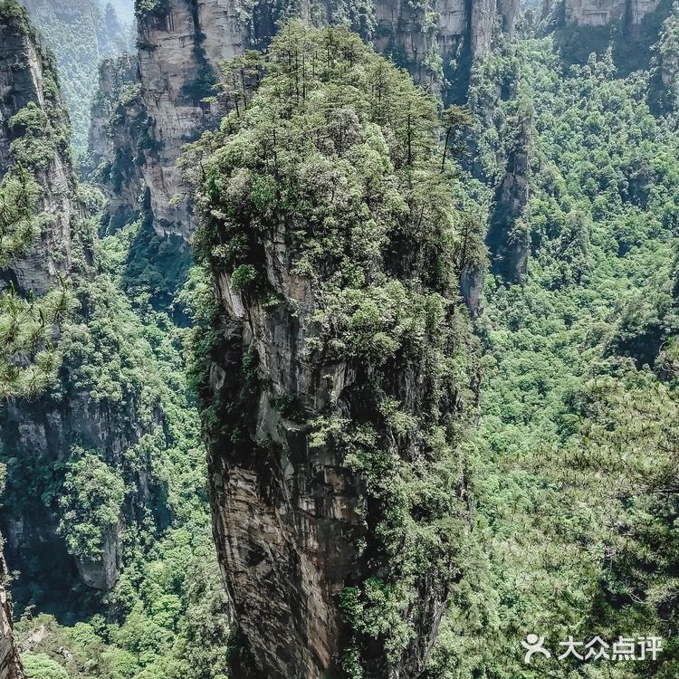 张家界国家森林公园·零基础上手轻松玩转😁