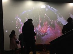 -沃美影城蜀山万象汇店(WMX巨幕)