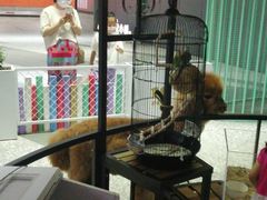 -1013 PET SHOP 宠物商店(近铁城市广场店)