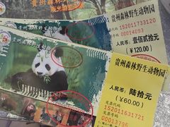 -贵州森林野生动物园