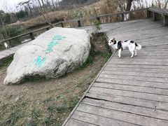 -白鹭湾湿地公园