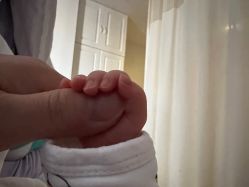 -海豚湾高端月子会所(黄浦店)