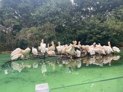 -珠海长隆海洋王国